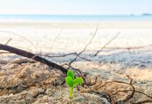 Du lịch nghỉ dưỡng tại Bintan – Ăn gì? Ở đâu?